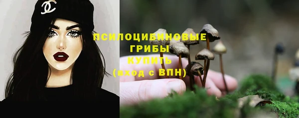 экстази Горняк