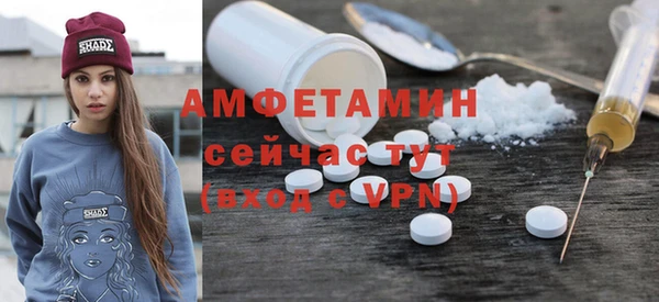 хмурый Гусь-Хрустальный