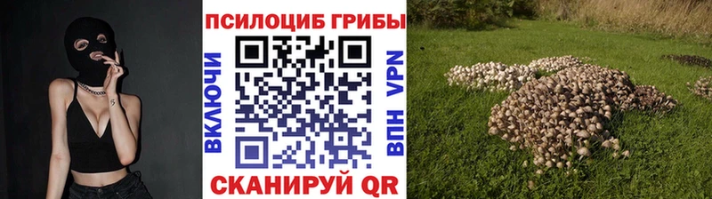 Псилоцибиновые грибы GOLDEN TEACHER  Чистополь 